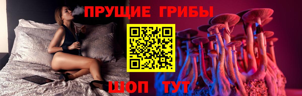 Псилоцибиновые грибы GOLDEN TEACHER Коломна